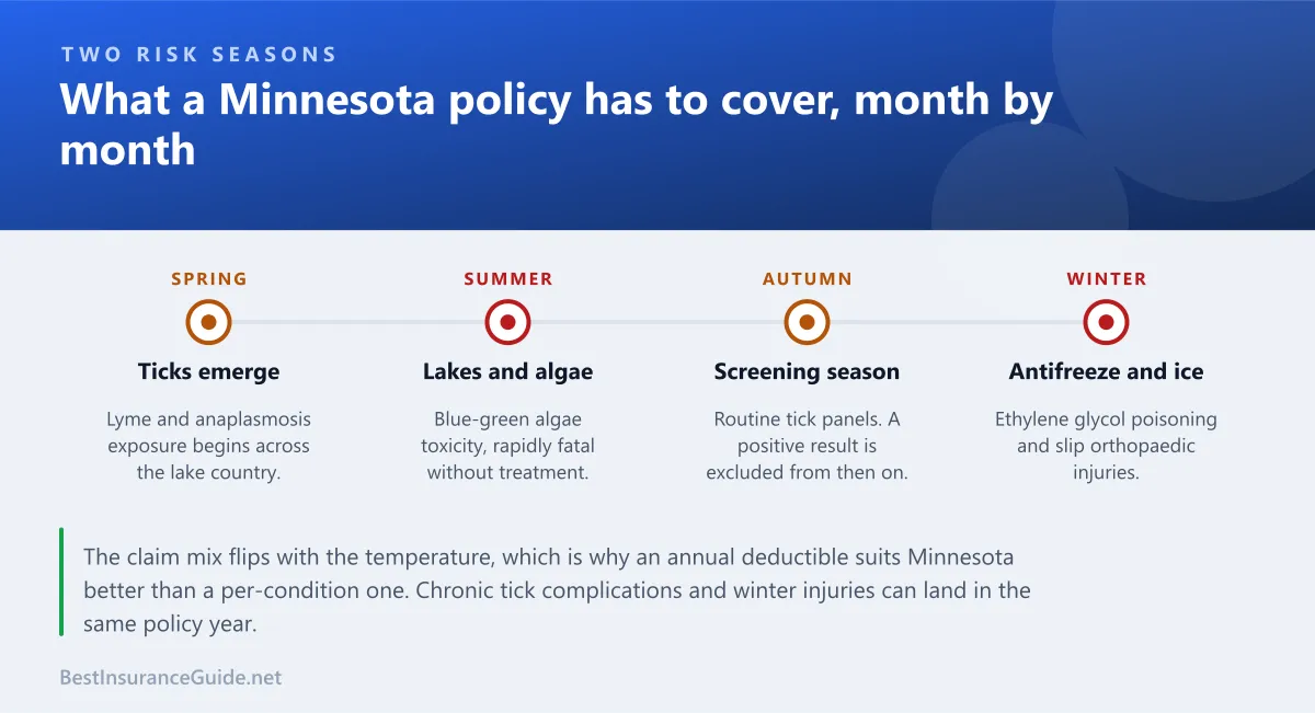 Timeline showing how Minnesota pet insurance claims shift from ticks in spring to antifreeze and ice injuries in winter