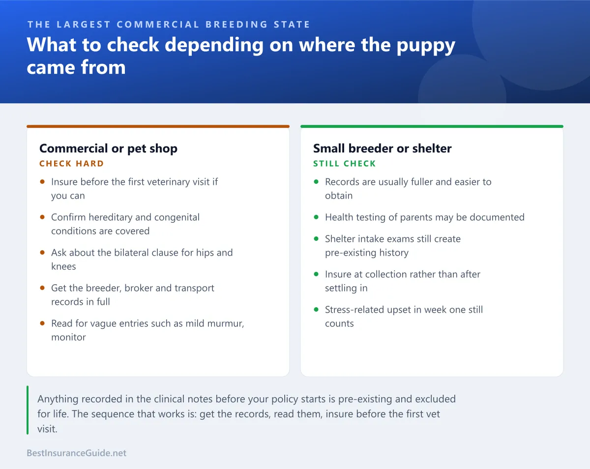 Comparison panel contrasting what to check when insuring a puppy from a commercial breeding operation against one from a small breeder or shelter