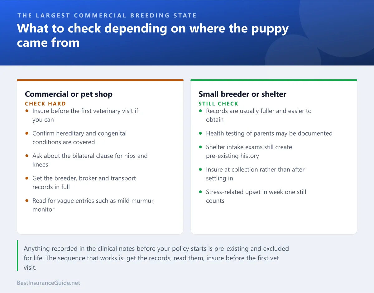 Comparison panel contrasting what to check when insuring a puppy from a commercial breeding operation against one from a small breeder or shelter