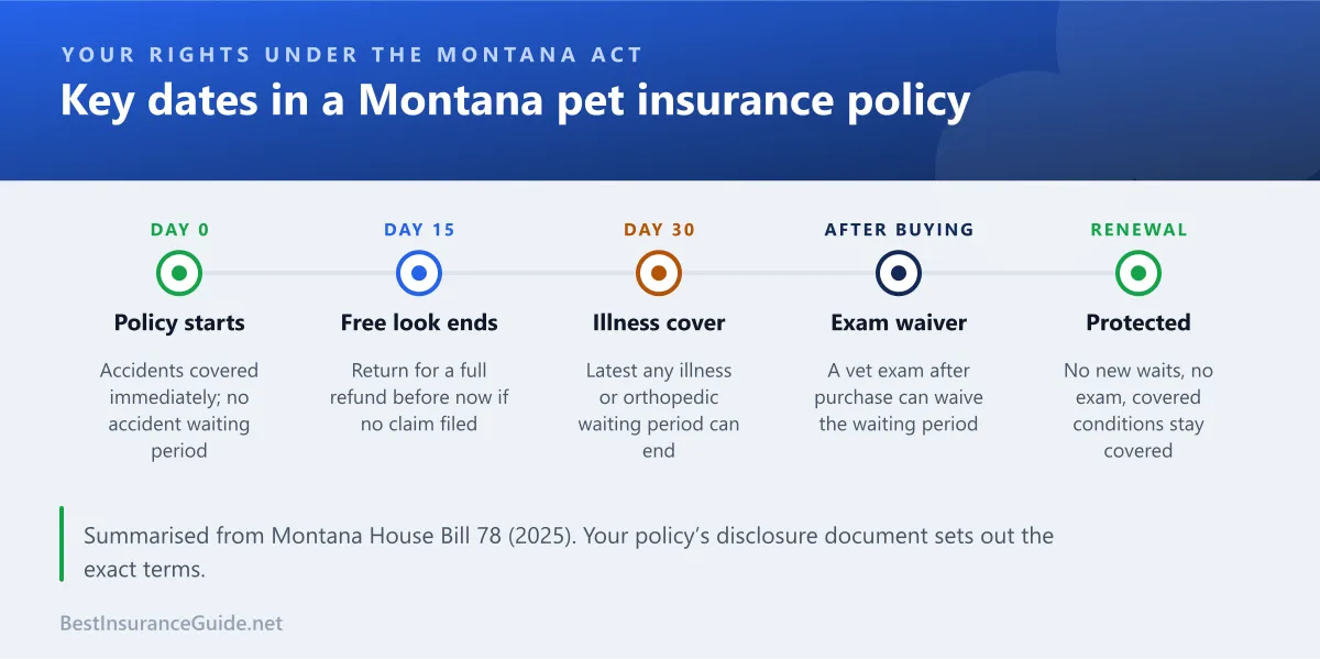 Timeline of the key dates in a Montana pet insurance policy under the 2025 Act, from purchase through the free look and waiting period to renewal