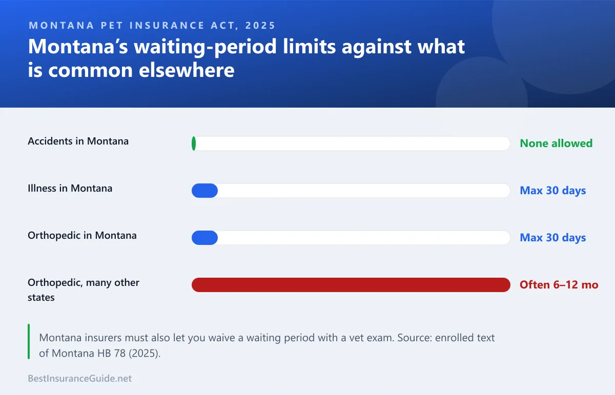 Bar chart comparing the maximum pet insurance waiting periods allowed under Montana law with the orthopedic waiting periods common elsewhere