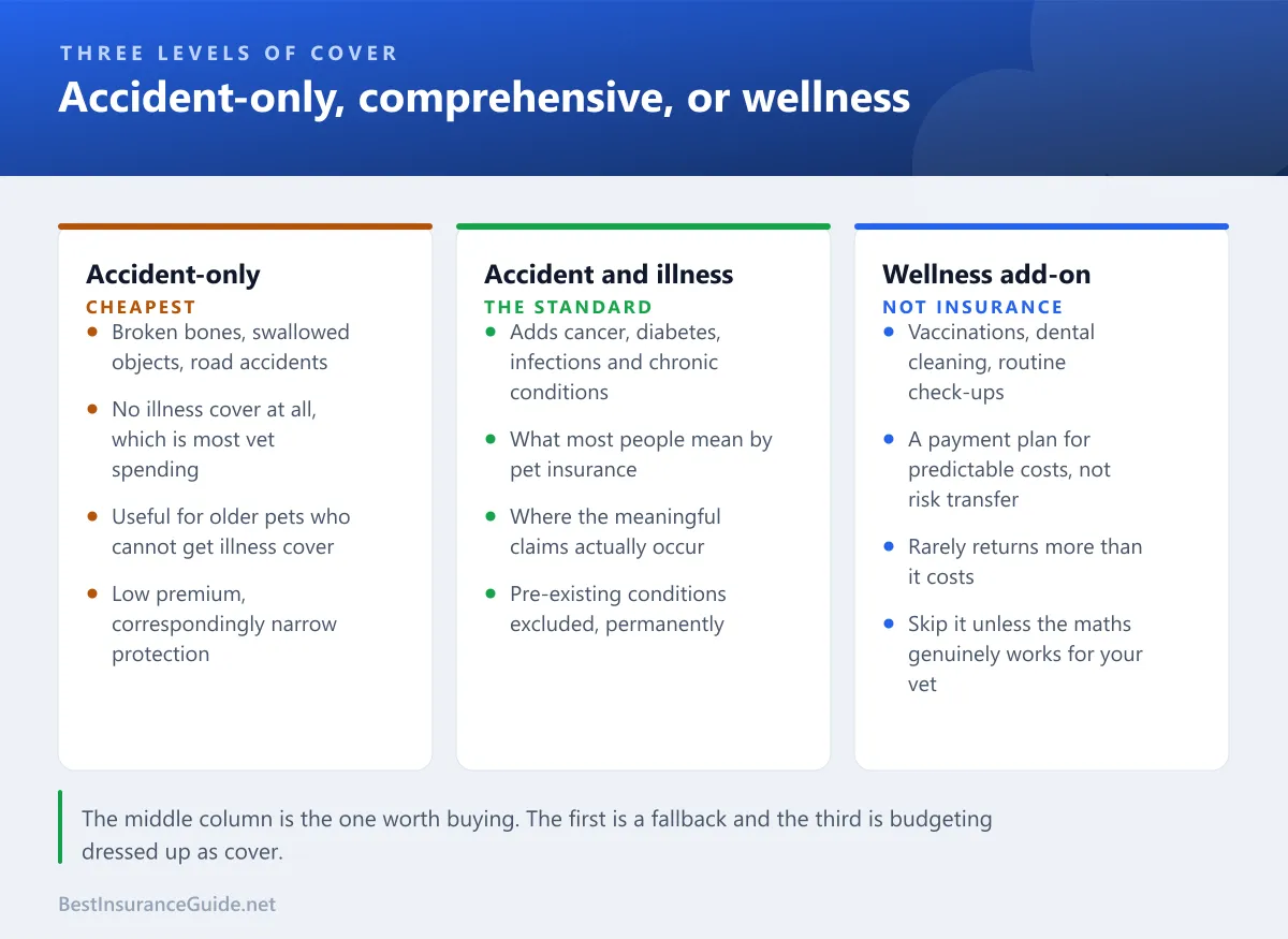 Comparison of accident-only, accident and illness, and wellness add-on pet insurance