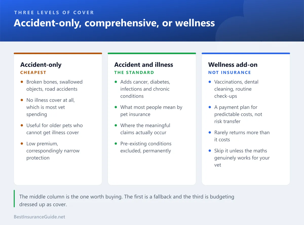 Comparison of accident-only, accident and illness, and wellness add-on pet insurance