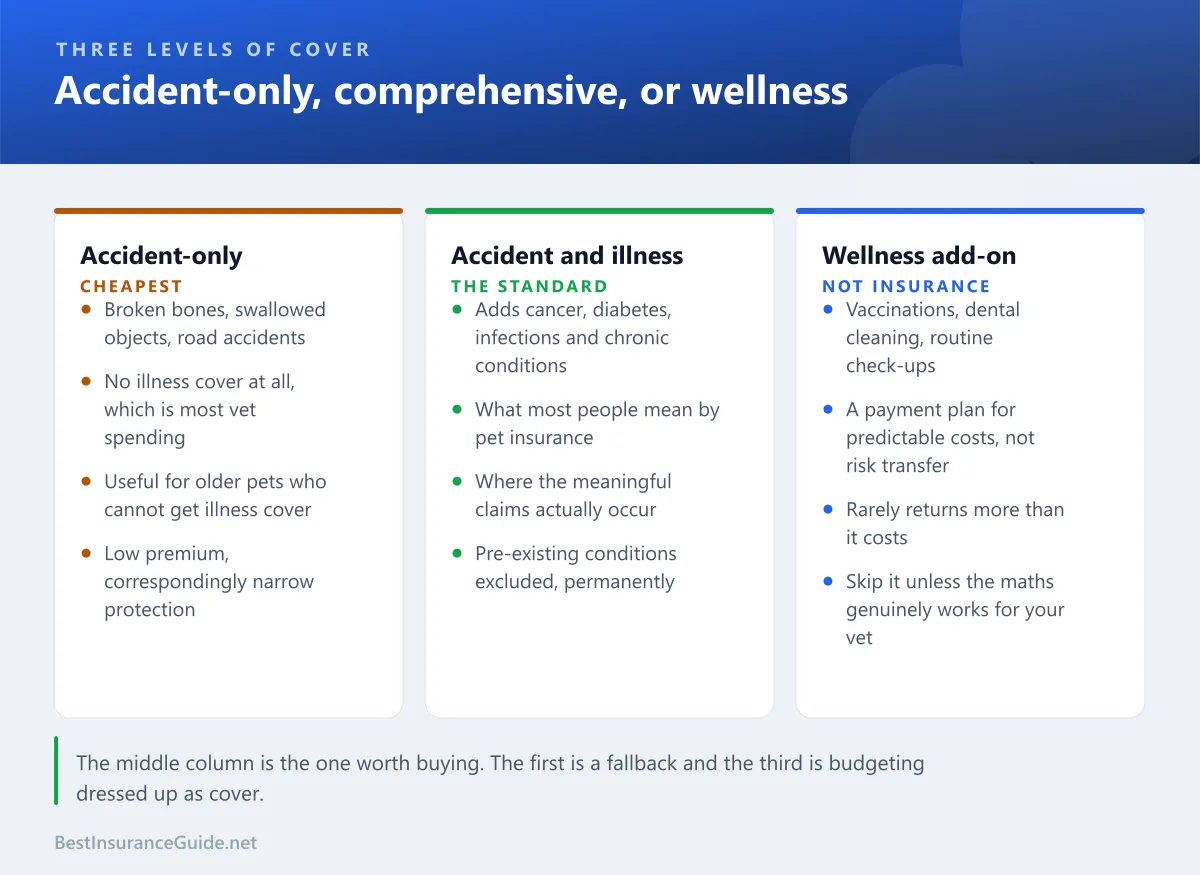 Comparison of accident-only, accident and illness, and wellness add-on pet insurance