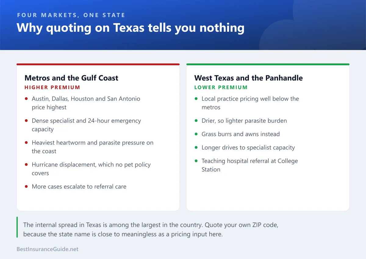 Comparison panel showing how dog insurance differs across Texas metros, the Gulf Coast, East Texas and West Texas on premium, specialist access and dominant risks