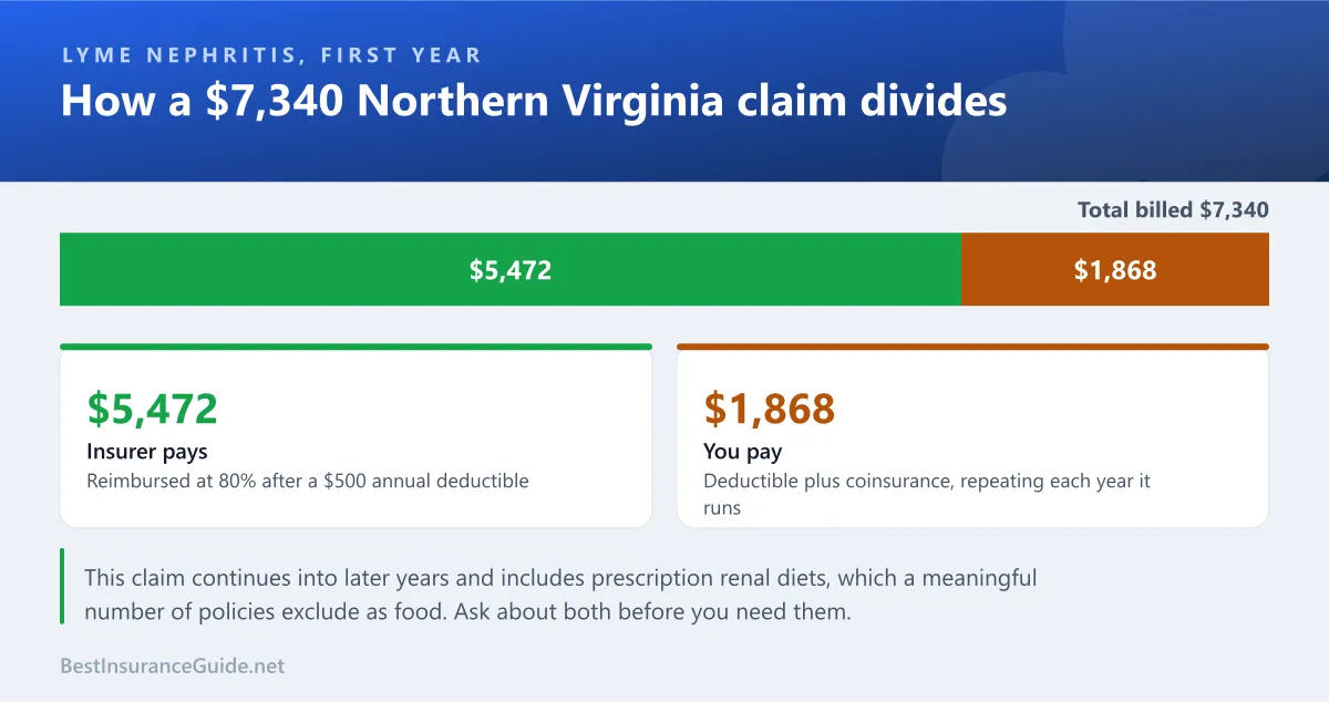 Split showing how a $7,340 Northern Virginia Lyme nephritis claim divides between the insurer and the owner