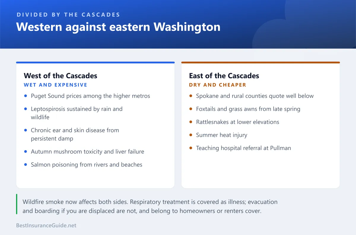 Comparison panel showing how pet insurance differs between western and eastern Washington on premium, specialist access and the dominant claim types