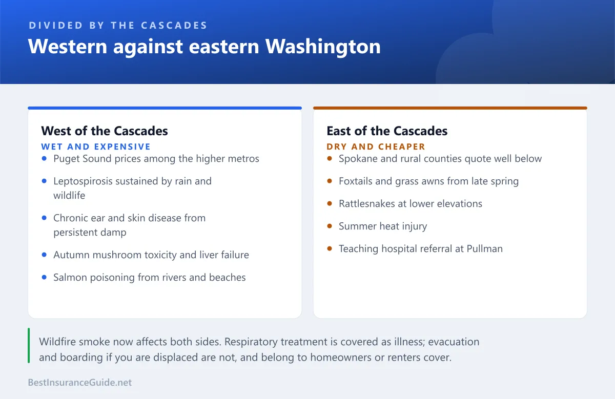 Comparison panel showing how pet insurance differs between western and eastern Washington on premium, specialist access and the dominant claim types