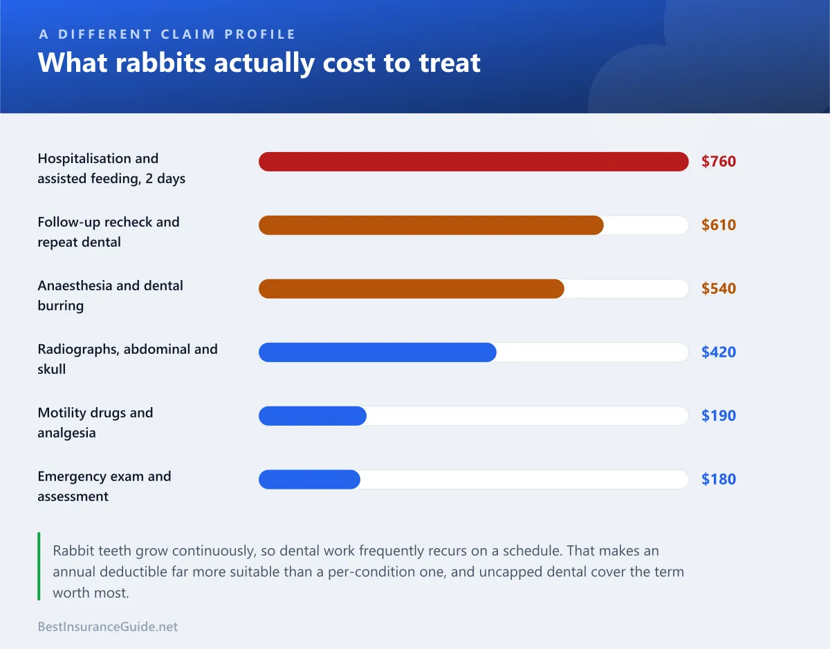 Bar chart showing typical costs of the most common rabbit veterinary claims, from GI stasis through dental work to abdominal surgery