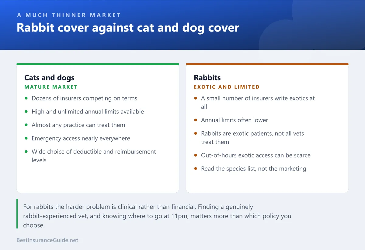 Comparison panel showing how rabbit insurance differs from dog and cat cover on availability, annual limits, vet access and claim profile