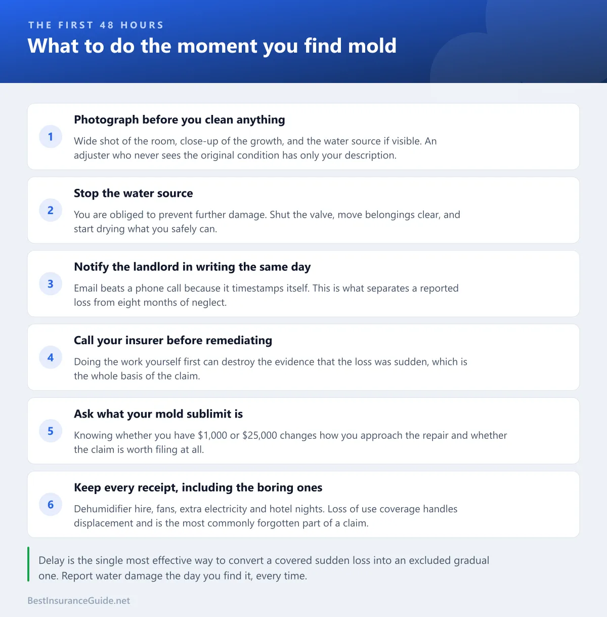 Checklist of the first steps to take when mold appears in a rental: photograph it, stop the water, notify the landlord in writing, call the insurer, and keep every receipt