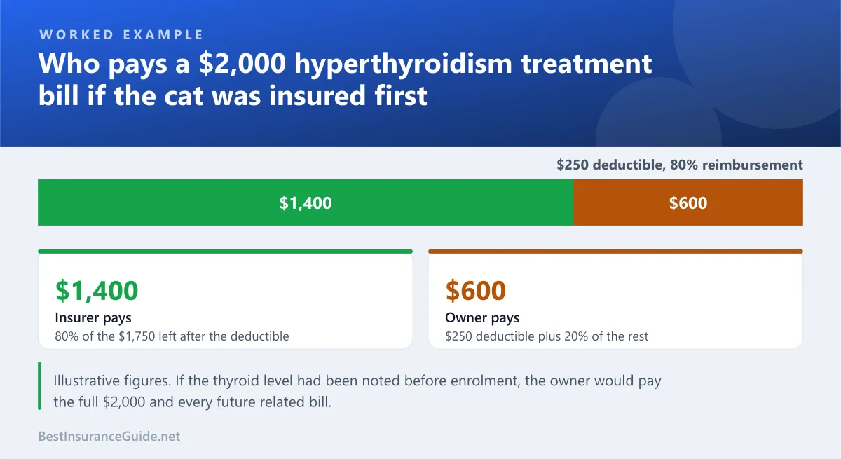 Split bar showing how an illustrative $2,000 hyperthyroidism treatment bill is shared between insurer and owner with a $250 deductible and 80% reimbursement