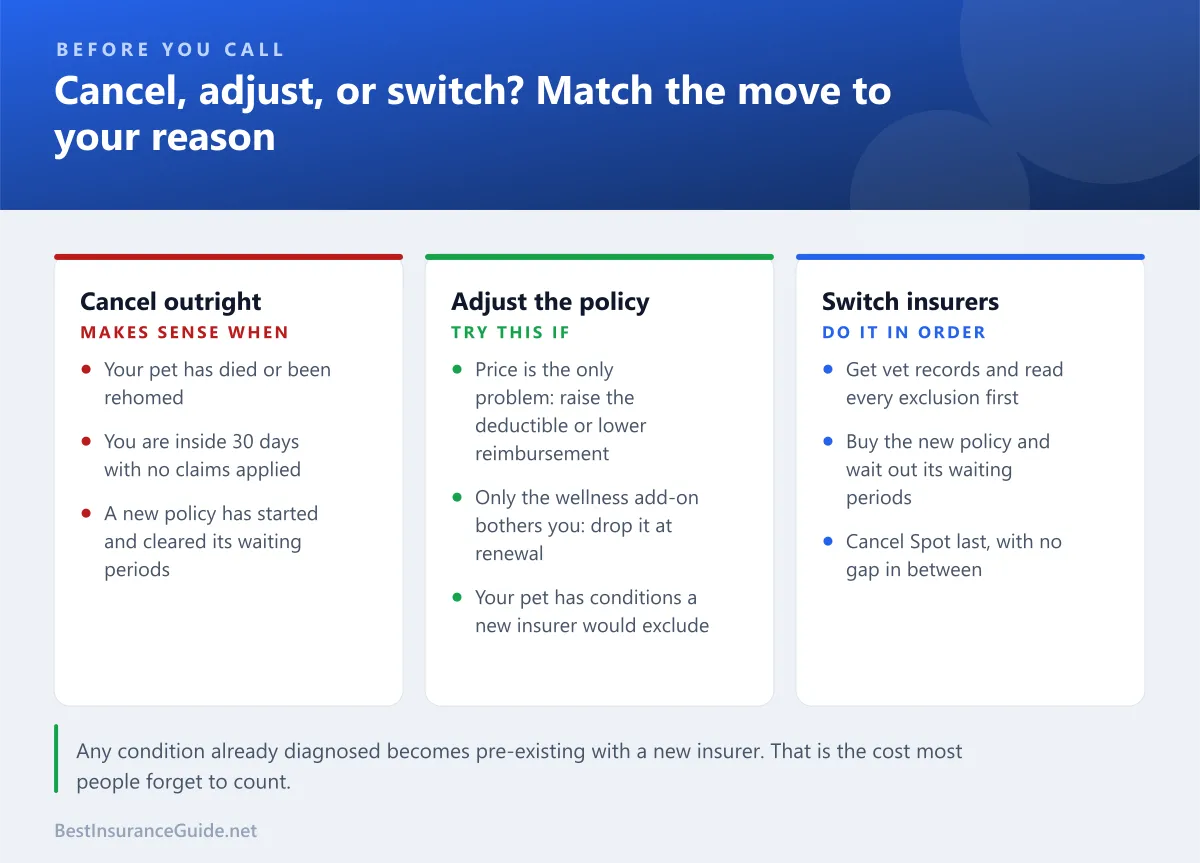 When to cancel Spot outright, when to adjust the policy instead, and how to switch insurers without a gap in cover