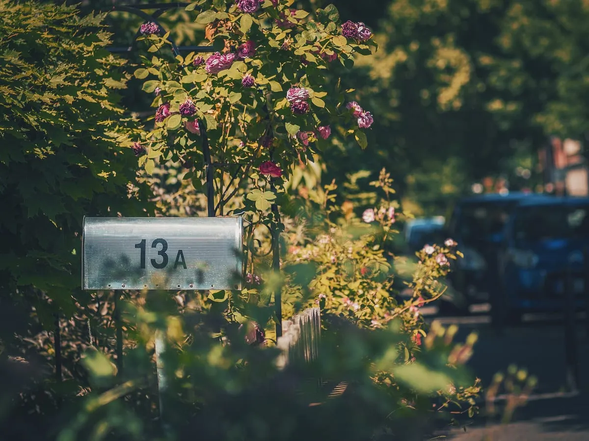 A suburban mailbox with a house number beside flowering bushes