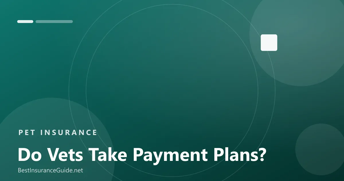 Vets that take payment plans banner