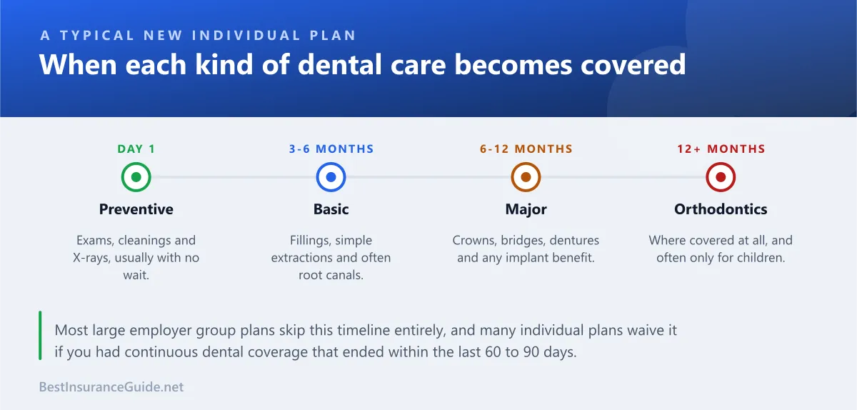 Timeline showing when preventive, basic, major and orthodontic services typically become covered on a new individual dental plan
